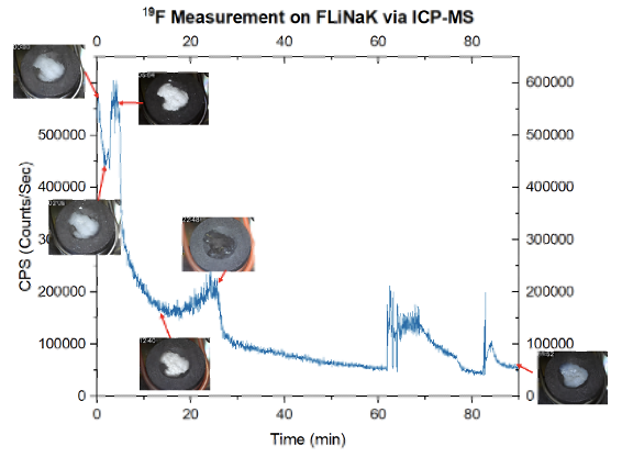 Laser Ablation Inductively Coupled Plasma Mass Spectrometry (LA-ICP-MS)