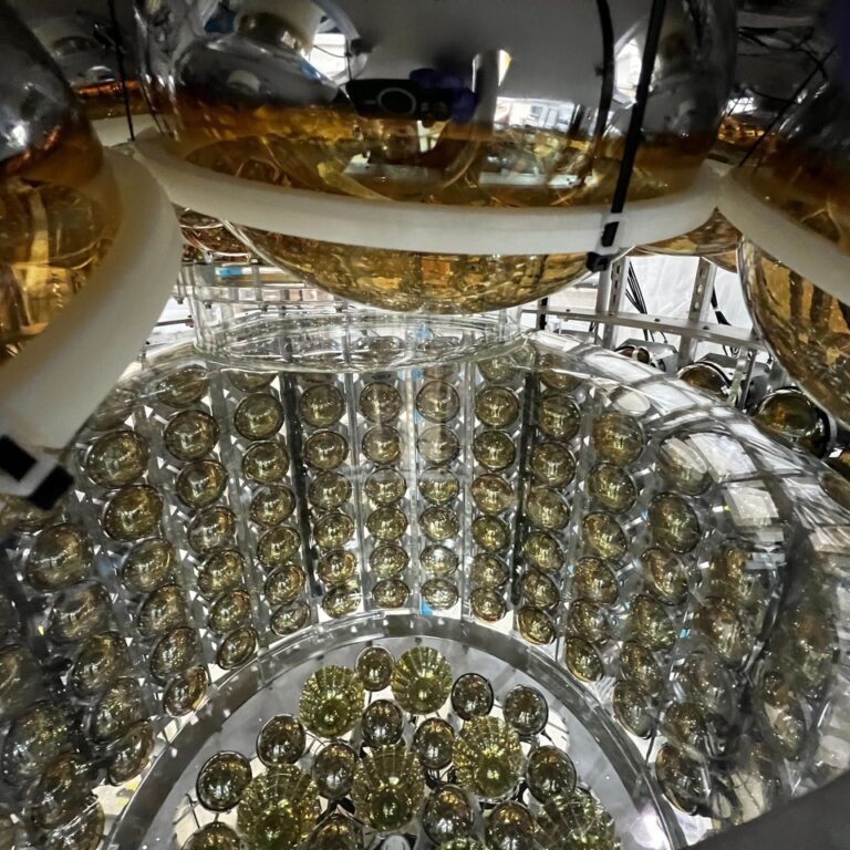 Photo Credit to Thor Swift/Berkeley Lab.

Photomultiplier tubes, used to detect faint sources of light, mounted inside the steel tank of the Eos detector. 